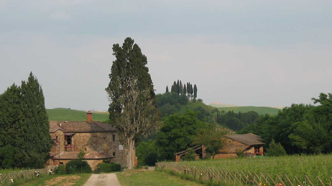 Capineta Fontalpino winery